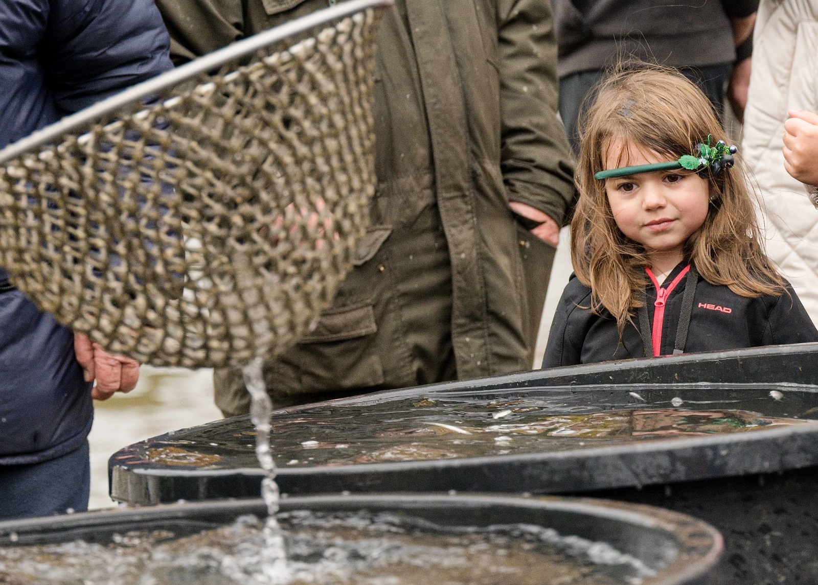 Výlov Horní rybník